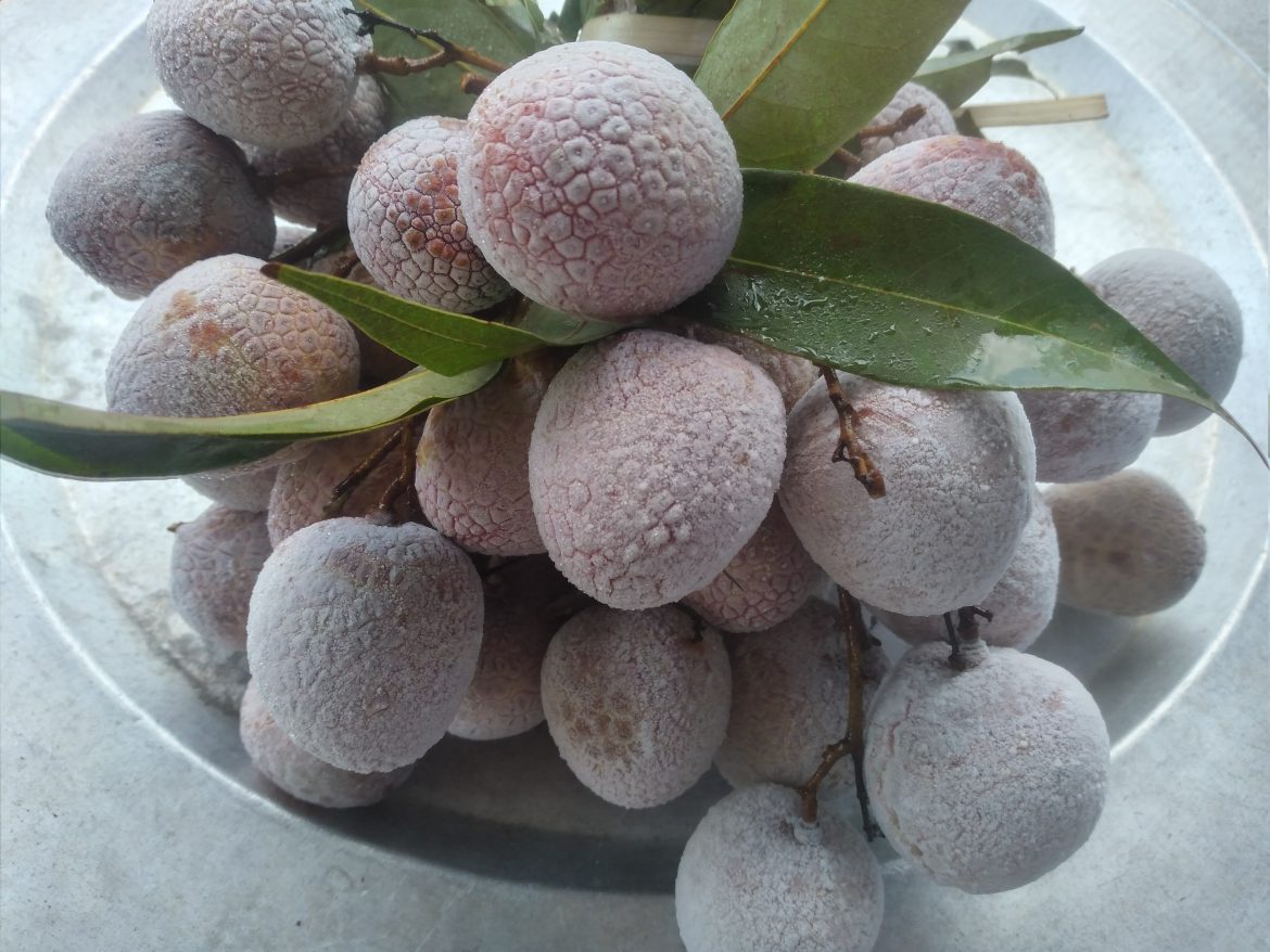 Dịch vụ cấp đông nhanh